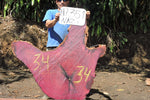 Slab LH17351NAZ