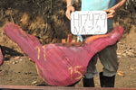 Slab LH17479NAZ