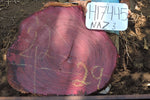 Slab LH17445NAZ