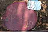 Slab LH17445NAZ