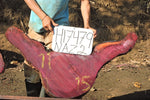 Slab LH17479NAZ