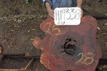 Slab LH19338GUA
