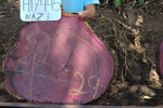 Slab LH17445NAZ