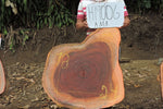 Slab LH19006AMA