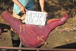 Slab LH17479NAZ