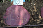 Slab LH17445NAZ