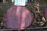 Slab LH17445NAZ