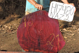 Slab LH17480NAZ