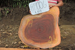 Slab LH19006AMA