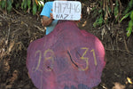 Slab LH17446NAZ
