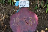 Slab LH17446NAZ