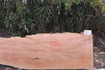 Slab J19660AJO