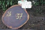 Slab LH19724CEN