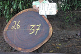 Slab LH19724CEN
