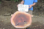 Slab LH19068AMA