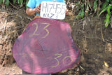 Slab LH17455NAZ