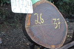Slab LH19724CEN