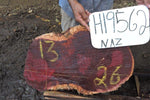Slab LH19562NAZ