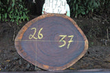 Slab LH19724CEN