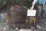 Slab LH15516