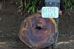 Slab LH17179RRO