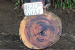 Slab LH17205RRO