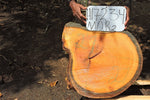 Slab LH17234MOR