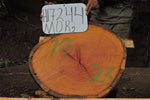 Slab LH17244MOR