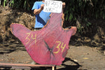 Slab LH17351NAZ