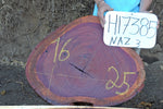 Slab LH17385NAZ