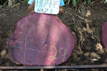 Slab LH17445NAZ