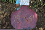Slab LH17446NAZ
