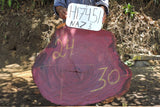 Slab LH17451NAZ