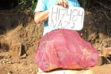 Slab LH17484NAZ