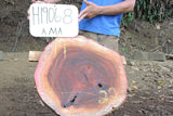 Slab LH19068AMA