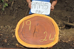 Slab LH19145PAV