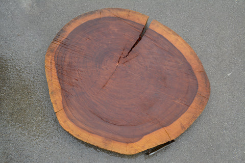 Cross-cut - Matchwood/Pava H19164PAV