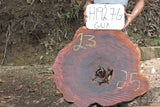Slab LH19276GUA