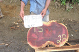 Slab LH19559NAZ