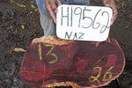 Slab LH19562NAZ