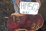 Slab LH19562NAZ