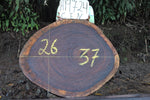 Slab LH19724CEN