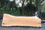Slab J18157