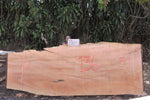 Slab J19660AJO