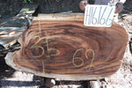 Slab LH16166