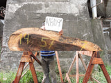 Slab N18109